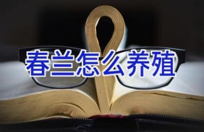 春兰怎么养殖
