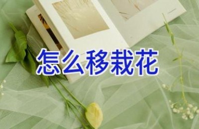 怎么移栽花