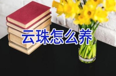 云珠怎么养