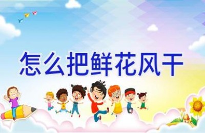 怎么把鲜花风干