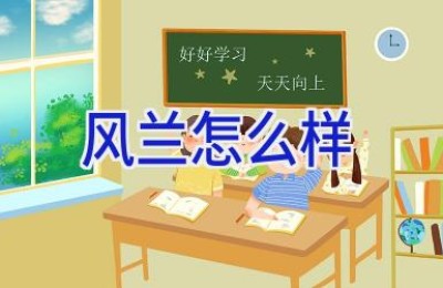 风兰怎么样