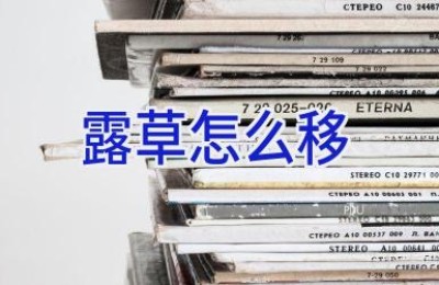 露草怎么移