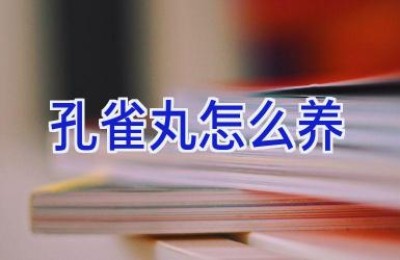 孔雀丸怎么养