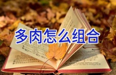 多肉怎么组合