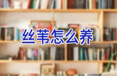 丝苇怎么养