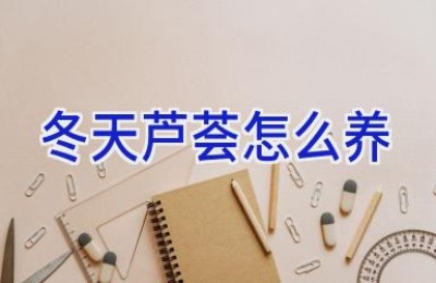 冬天芦荟怎么养
