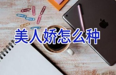 美人娇怎么种