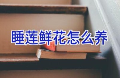 睡莲鲜花怎么养
