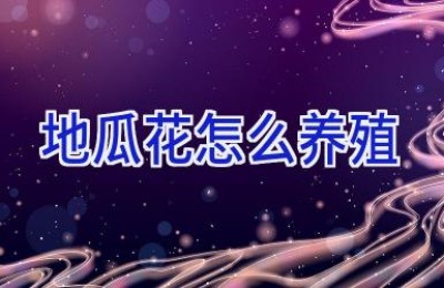 地瓜花怎么养殖