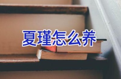 夏瑾怎么养