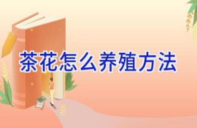 茶花怎么养殖方法