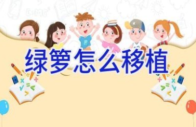 绿箩怎么移植