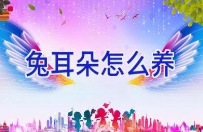 兔耳朵怎么养