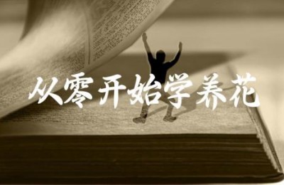 从零开始学养花