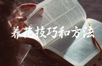 养花技巧和方法