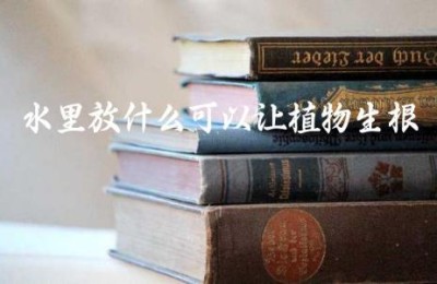 水里放什么可以让植物生根
