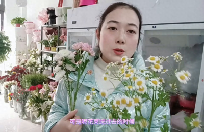 小雏菊送人有忌讳么，以后订花不要搞错了