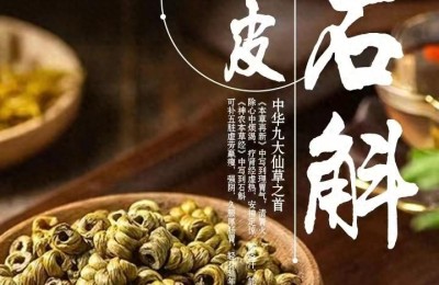 铁皮石斛产地分布：铁皮石斛哪里产的好？