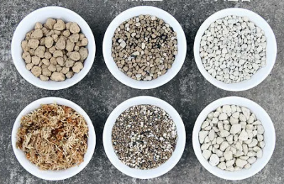 多肉用什么土栽培最好（多肉适配的土壤有哪些）