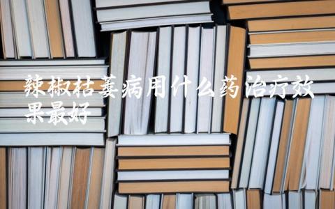 辣椒枯萎病用什么药治疗效果最好插图