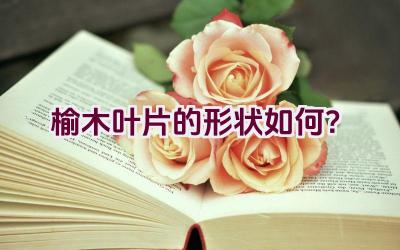 榆木叶片的形状如何?插图 榆木叶片的形状如何?插图