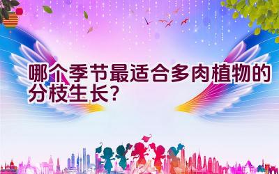 哪个季节最适合多肉植物的分枝生长?插图 哪个季节最适合多肉植物的分枝生长?插图