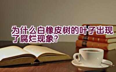 为什么白橡皮树的叶子出现了腐烂现象?插图 为什么白橡皮树的叶子出现了腐烂现象?插图