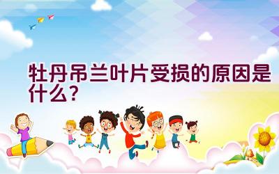 牡丹吊兰叶片受损的原因是什么?插图 牡丹吊兰叶片受损的原因是什么?插图