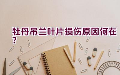 牡丹吊兰叶片损伤原因何在?插图 牡丹吊兰叶片损伤原因何在?插图