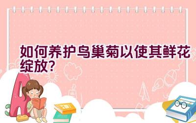 如何养护鸟巢菊以使其鲜花绽放?插图 如何养护鸟巢菊以使其鲜花绽放?插图