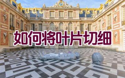 如何将叶片切细插图 如何将叶片切细插图