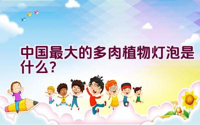 中国最大的多肉植物灯泡是什么?插图 中国最大的多肉植物灯泡是什么?插图