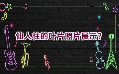 仙人柱的叶片照片展示?插图 仙人柱的叶片照片展示?插图