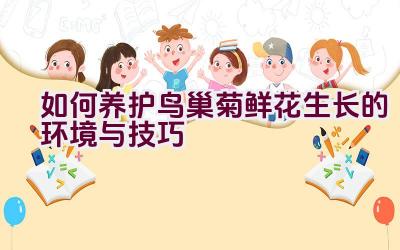 如何养护鸟巢菊鲜花生长的环境与技巧插图 如何养护鸟巢菊鲜花生长的环境与技巧插图