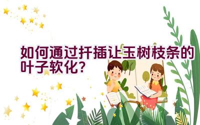 如何通过扦插让玉树枝条的叶子软化?插图 如何通过扦插让玉树枝条的叶子软化?插图