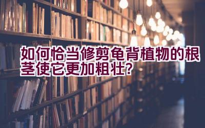 如何恰当修剪龟背植物的根茎使它更加粗壮?插图 如何恰当修剪龟背植物的根茎使它更加粗壮?插图