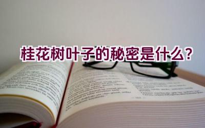 桂花树叶子的秘密是什么?插图 桂花树叶子的秘密是什么?插图