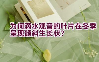 为何滴水观音的叶片在冬季呈现倾斜生长状?插图 为何滴水观音的叶片在冬季呈现倾斜生长状?插图