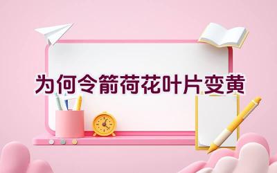 为何令箭荷花叶片变黄插图 为何令箭荷花叶片变黄插图