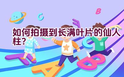 “如何拍摄到长满叶片的仙人柱?”插图 “如何拍摄到长满叶片的仙人柱?”插图