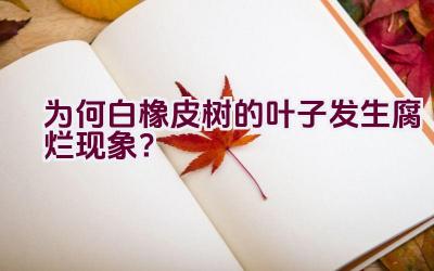 为何白橡皮树的叶子发生腐烂现象?插图 为何白橡皮树的叶子发生腐烂现象?插图