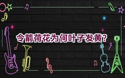 令箭荷花为何叶子发黄?插图 令箭荷花为何叶子发黄?插图