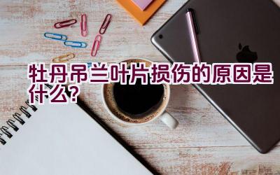 牡丹吊兰叶片损伤的原因是什么?插图 牡丹吊兰叶片损伤的原因是什么?插图
