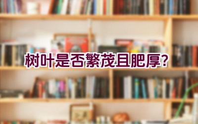 树叶是否繁茂且肥厚?插图 树叶是否繁茂且肥厚?插图