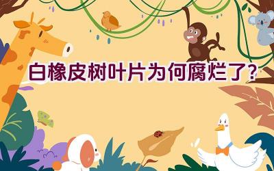 白橡皮树叶片为何腐烂了?插图 白橡皮树叶片为何腐烂了?插图