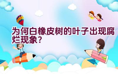 为何白橡皮树的叶子出现腐烂现象?插图 为何白橡皮树的叶子出现腐烂现象?插图