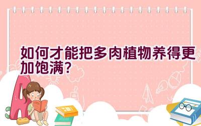 如何才能把多肉植物养得更加饱满?插图 如何才能把多肉植物养得更加饱满?插图