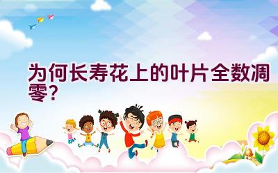 为何长寿花上的叶片全数凋零?插图 为何长寿花上的叶片全数凋零?插图