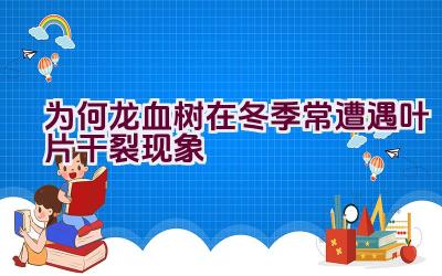 为何龙血树在冬季常遭遇叶片干裂现象插图 为何龙血树在冬季常遭遇叶片干裂现象插图