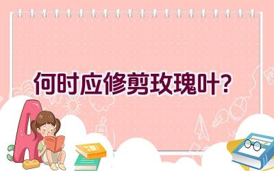 何时应修剪玫瑰叶?插图 何时应修剪玫瑰叶?插图